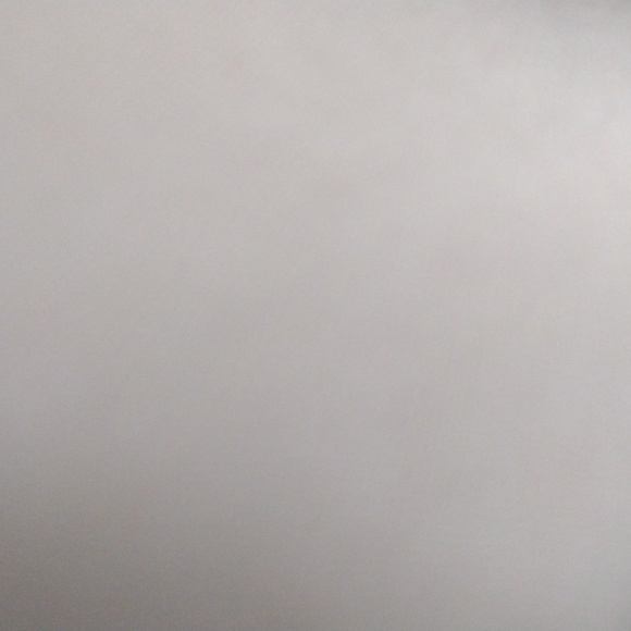 Tibi **NWT** silk 4 ply bias cut skirt in latte color. Size 12. - Picture 12 of 15